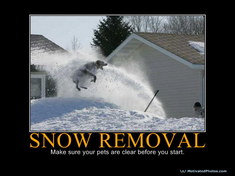 Funny Snow Quotes
 Shoveling Snow Quotes QuotesGram