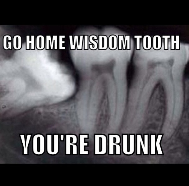 Funny Wisdom Teeth Quotes
 Dental Humor Quotes QuotesGram