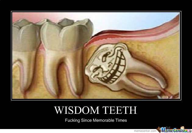 Funny Wisdom Teeth Quotes
 Wisdom Teeth by meltord Meme Center