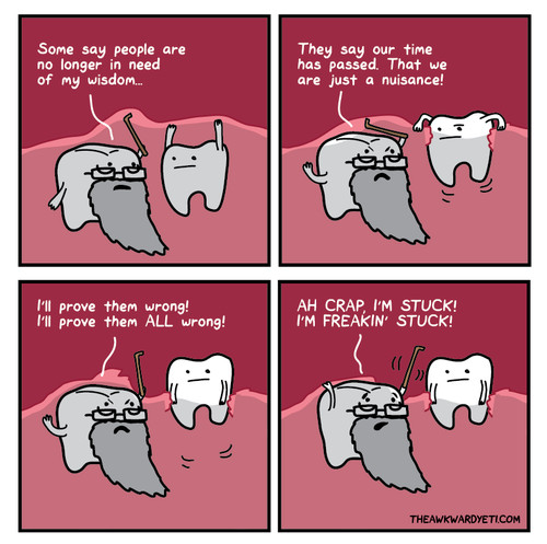 Funny Wisdom Teeth Quotes
 WISDOM TEETH QUOTES FUNNY image quotes at relatably