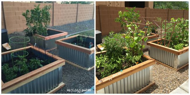 Garden Boxes DIY
 DIY Raised Garden Beds with Corrugated Metal