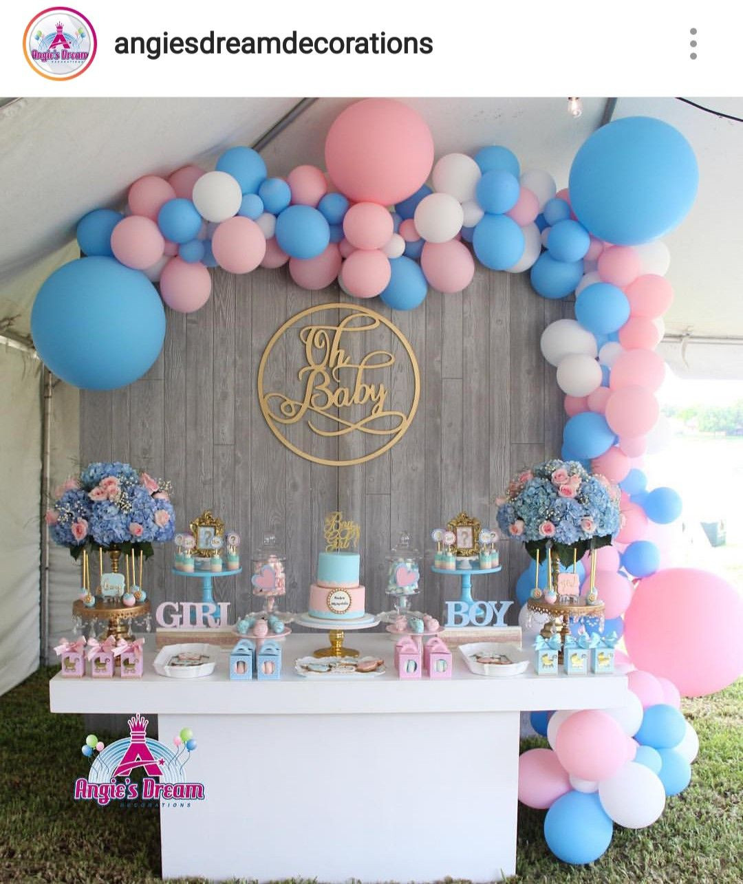 Gender Reveal Party Ideas Balloons
 Gender Reveal Dessert Table and Decor