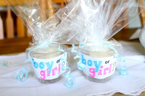 Gender Review Party Ideas
 25 Gender Reveal Party Ideas C R A F T