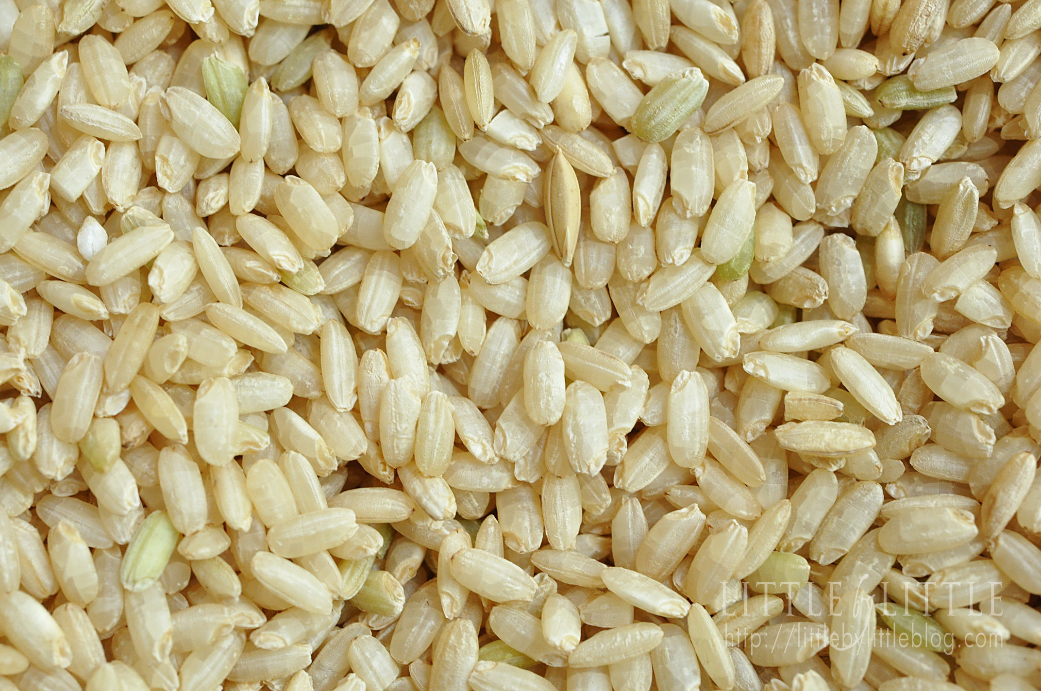 Germinated Brown Rice
 germinated brown rice 01 logo Little By Little blog