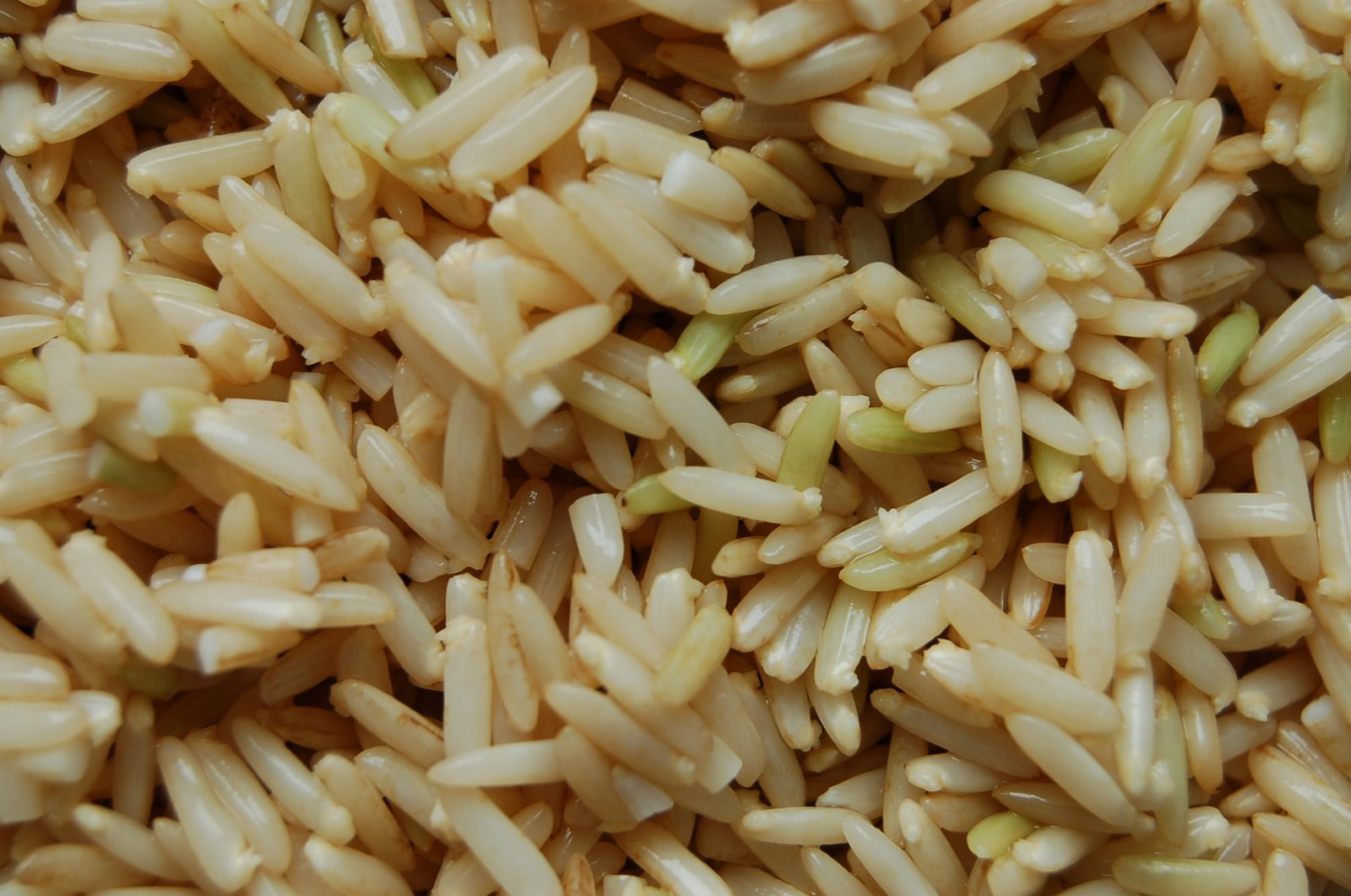 Germinated Brown Rice
 Health Tips SPROUTED BROWN RICE
