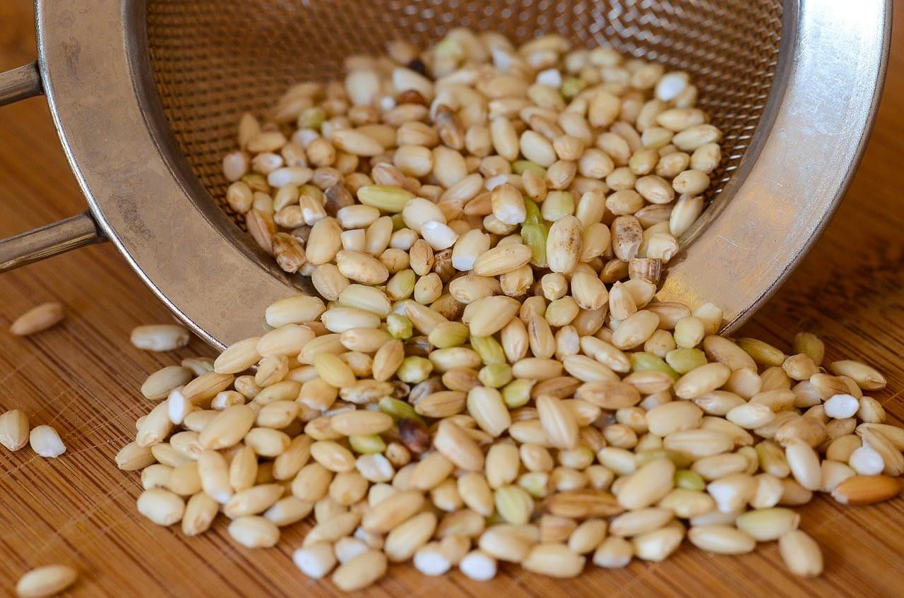 Germinated Brown Rice
 Benefits of sprouted brown rice protein