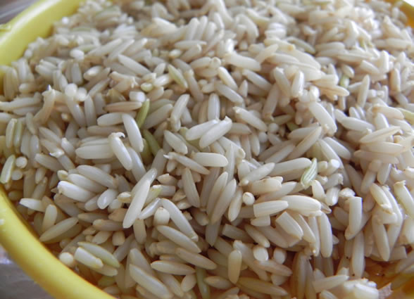 Germinated Brown Rice
 Germinated Sprouted Brown Rice — Cooking God s Way