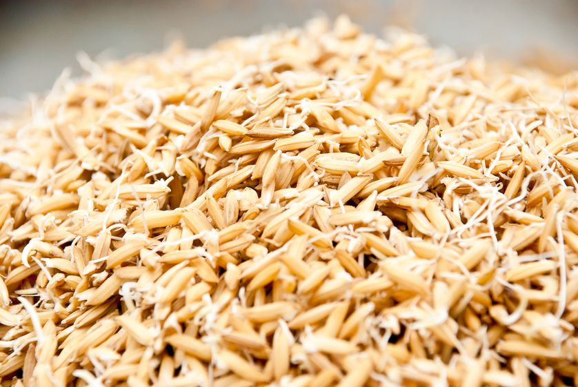 Germinated Brown Rice
 7 living foods you should eat – Naturally Healthy