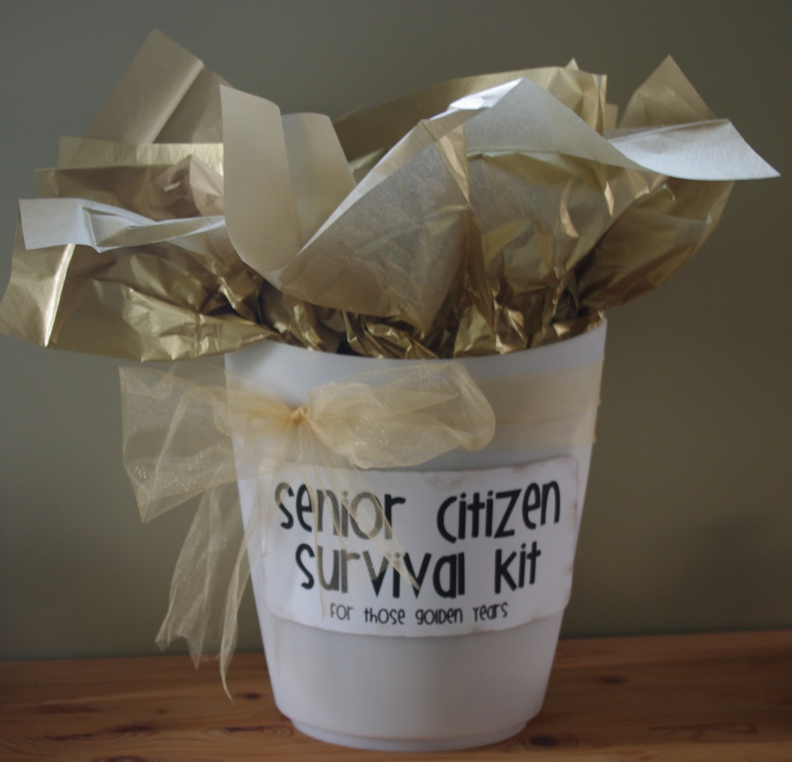Gift Basket Ideas For Elderly
 Creative "Try"als Senior Citizen Survival Kit
