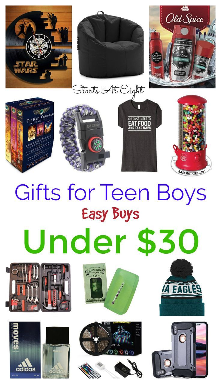 Gift Ideas For Boys
 Gifts for Teen Boys Easy Buys Under $30