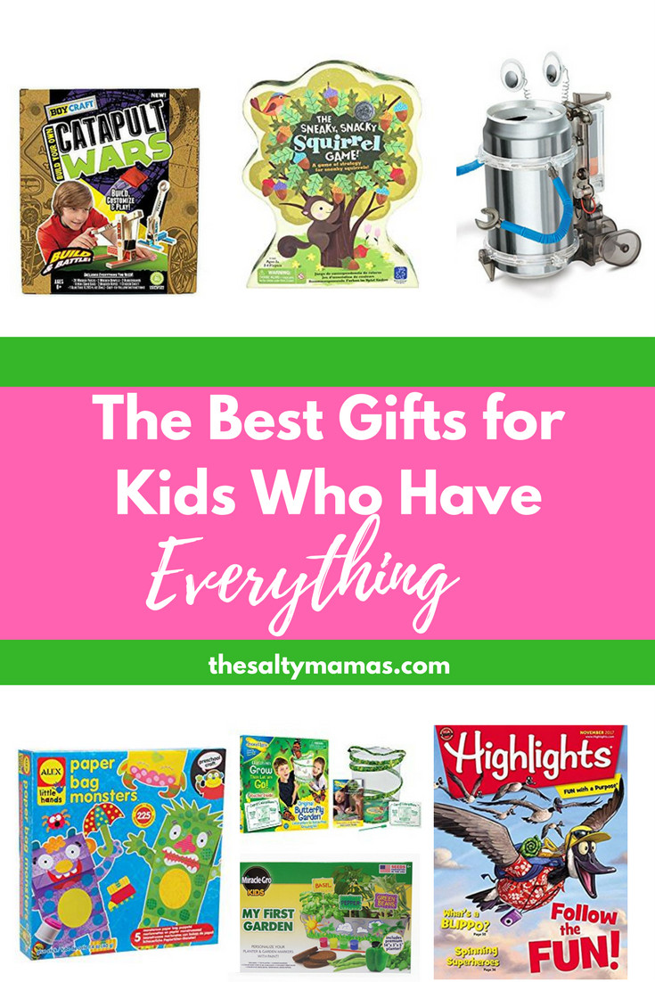 Gifts For Kids To Share
 Gifts For the Kid That Has EVERYTHING – The Salty Mamas