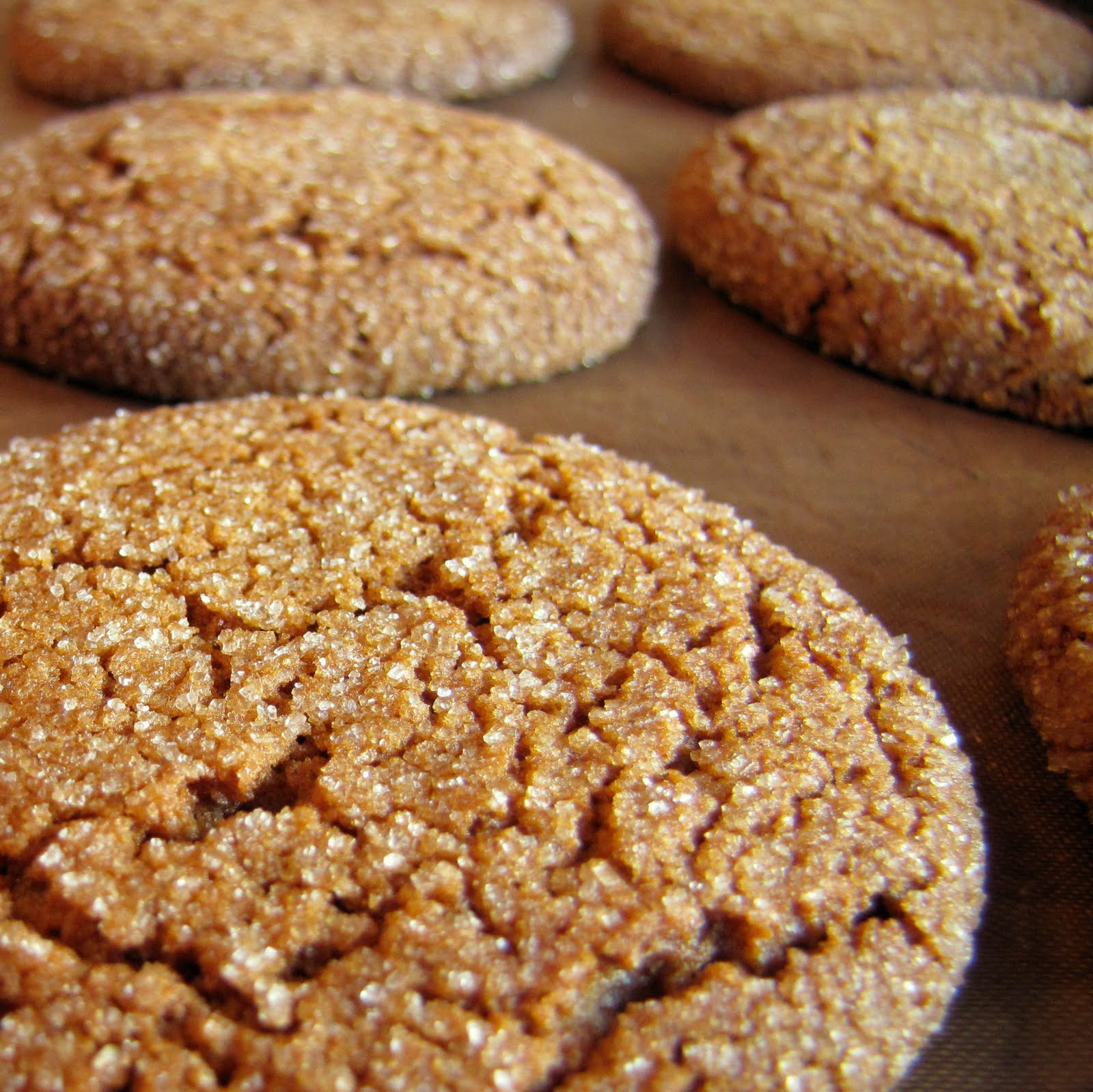 Gingerbread Molasses Cookies Recipe
 carolynn s recipe box Starbucks Ginger Molasses Cookies