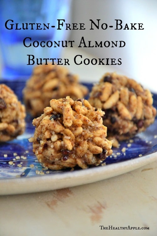 Gluten Free Dairy Free No Bake Cookies
 Easy Cookie Recipes