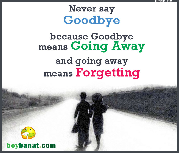 Goodbye Quotes Funny
 Goodbye Quotes and Goodbye Sayings Boy Banat