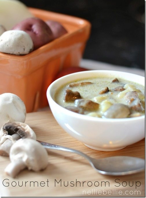 Gourmet Mushroom Recipes
 e Pot 30 minute Gourmet Mushroom Soup recipe