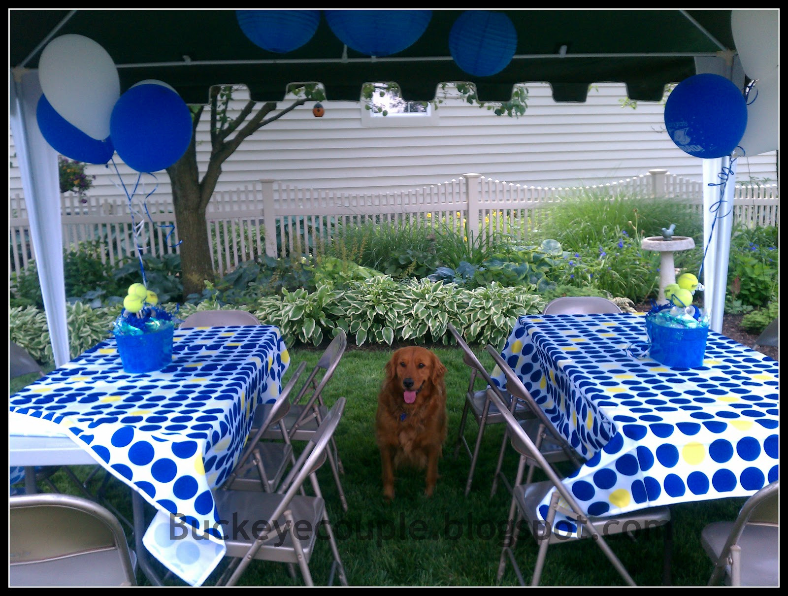 Graduation Outdoor Party Ideas
 Not So Newlyweds Graduation Party