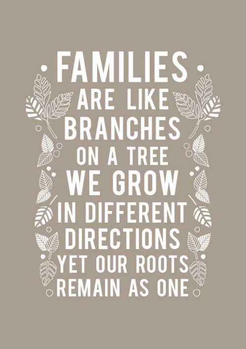 Great Family Quotes
 Top 25 Family Quotes and Sayings
