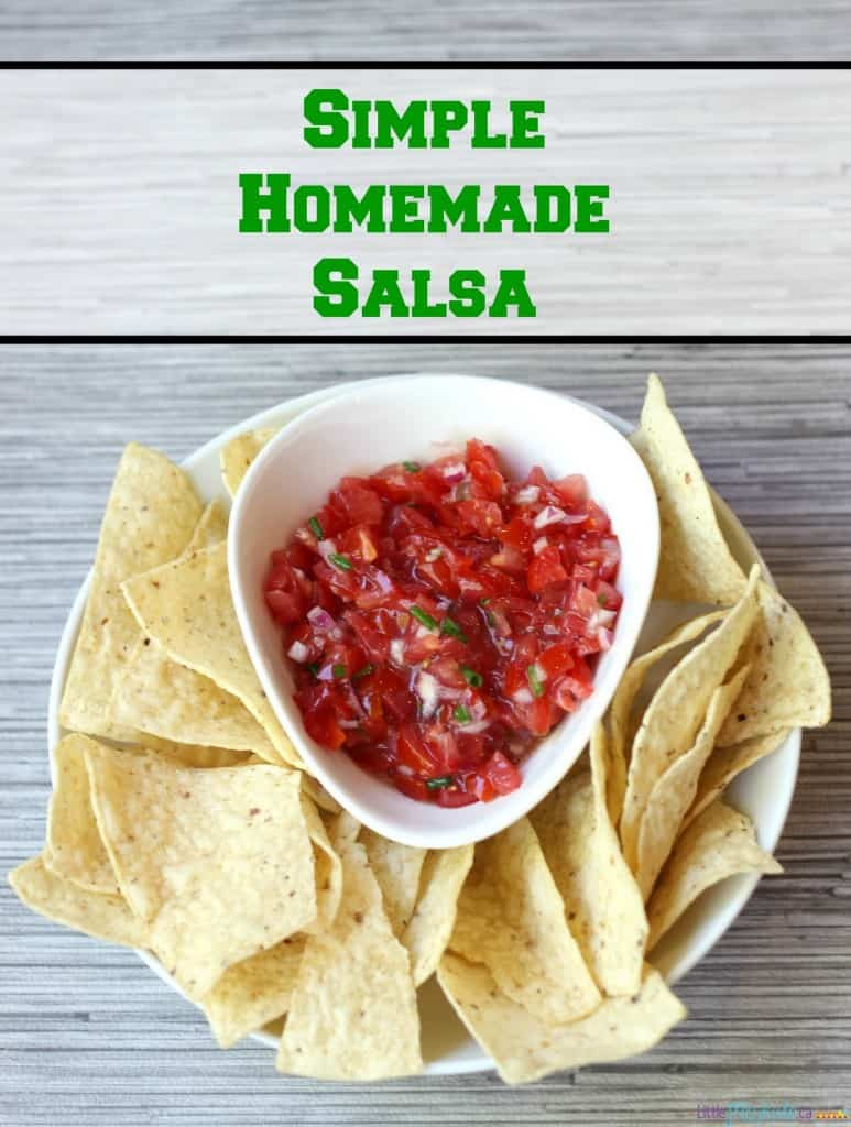Great Salsa Recipe
 Easy 4 Ingre nt Homemade Salsa Recipe Little Miss Kate