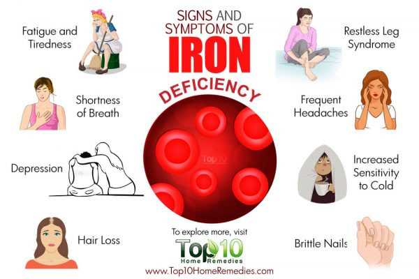 Hair Loss In Children Vitamin Deficiency
 Women in America lead the world in iron deficiencies Here