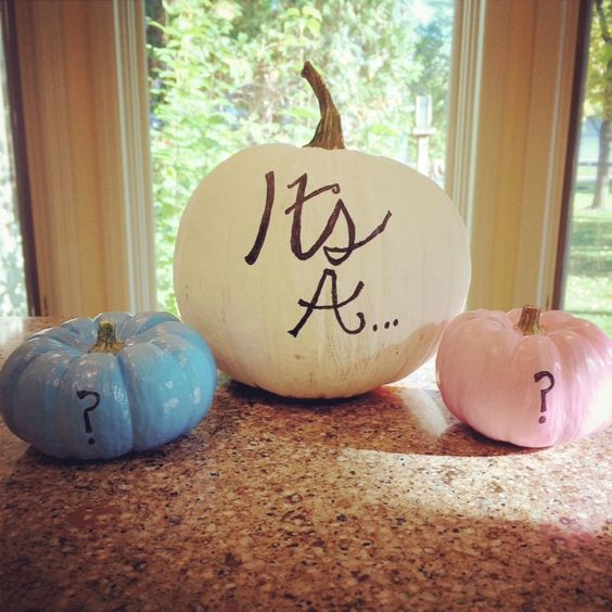 Halloween Gender Reveal Party Ideas
 31 Fun And Sweet Gender Reveal Party Ideas Shelterness