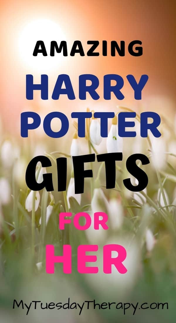 Harry Potter Gift Ideas For Girlfriend
 Harry Potter Gift Guide 2019 Gifts For Awesome Potterheads