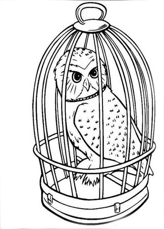 Harry Potter Printable Coloring Pages
 Harry Potter Coloring Pages to and print for free