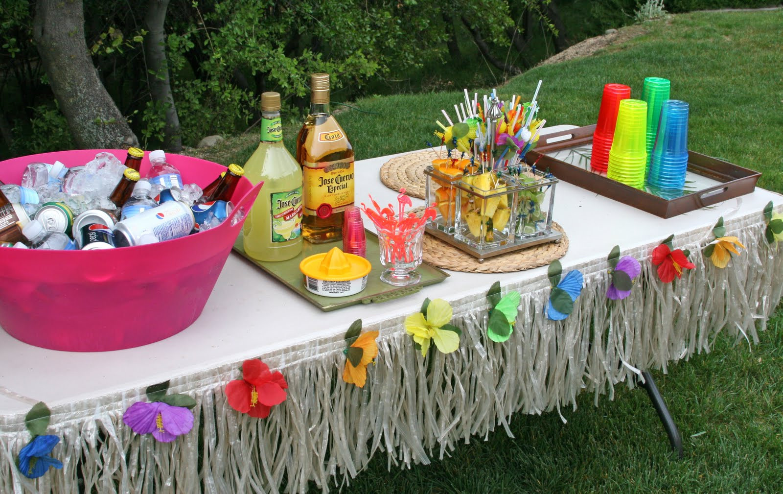 Hawaiian Pool Party Ideas
 Parties 30th Birthday Luau Party Glorious Treats
