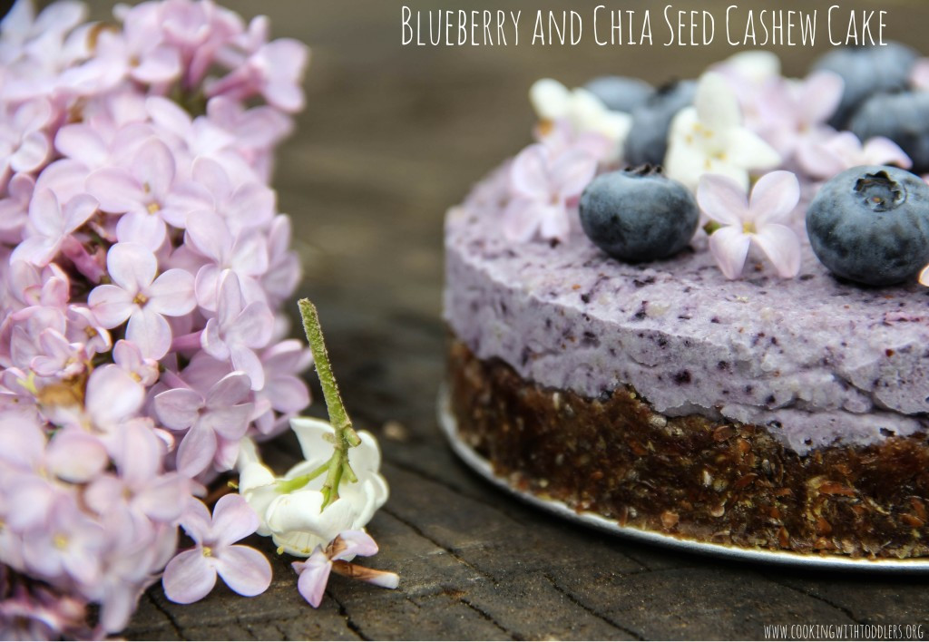 Healthy Birthday Cake Recipes
 Blueberry Chia Seed Cashew Cake Recipe