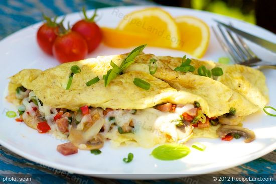 Healthy Low Cholesterol Breakfast
 Low Fat Breakfast Omelet recipe