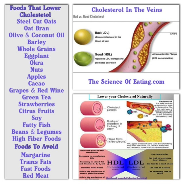 Healthy Low Cholesterol Snacks
 Foods To Help Health Issues – mavencio