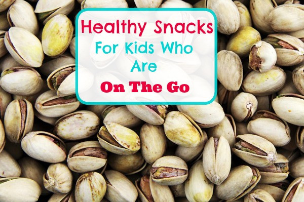 Healthy Snacks For Kids On The Go
 Healthy Snacks The Go For Kids