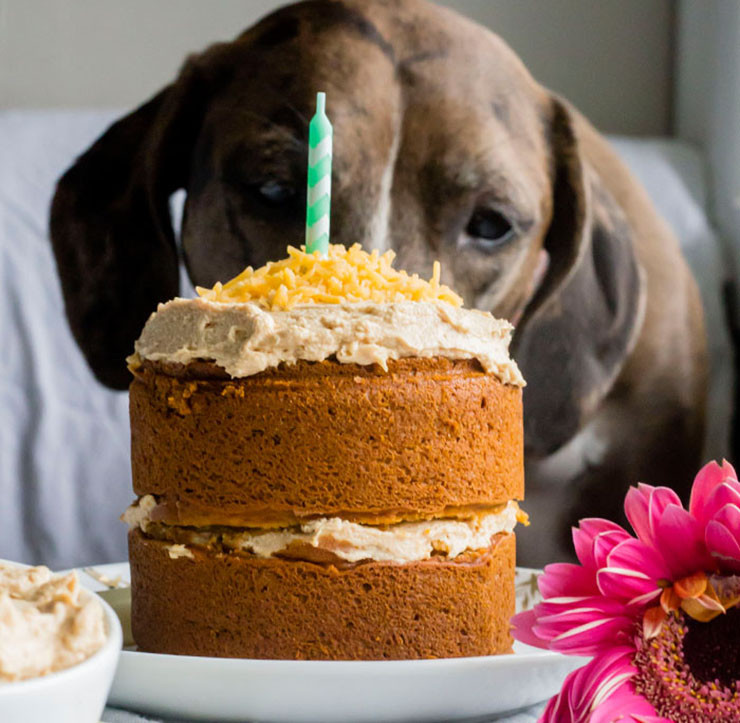 Homemade Dog Birthday Cake
 14 Dog Birthday Cake & Cupcake Homemade Recipes PlayBarkRun