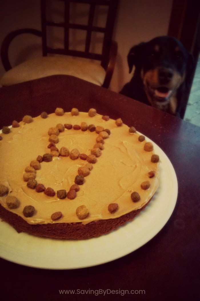 Homemade Dog Birthday Cake
 Dog Birthday Cake Recipe A Special Treat for Your Dog s