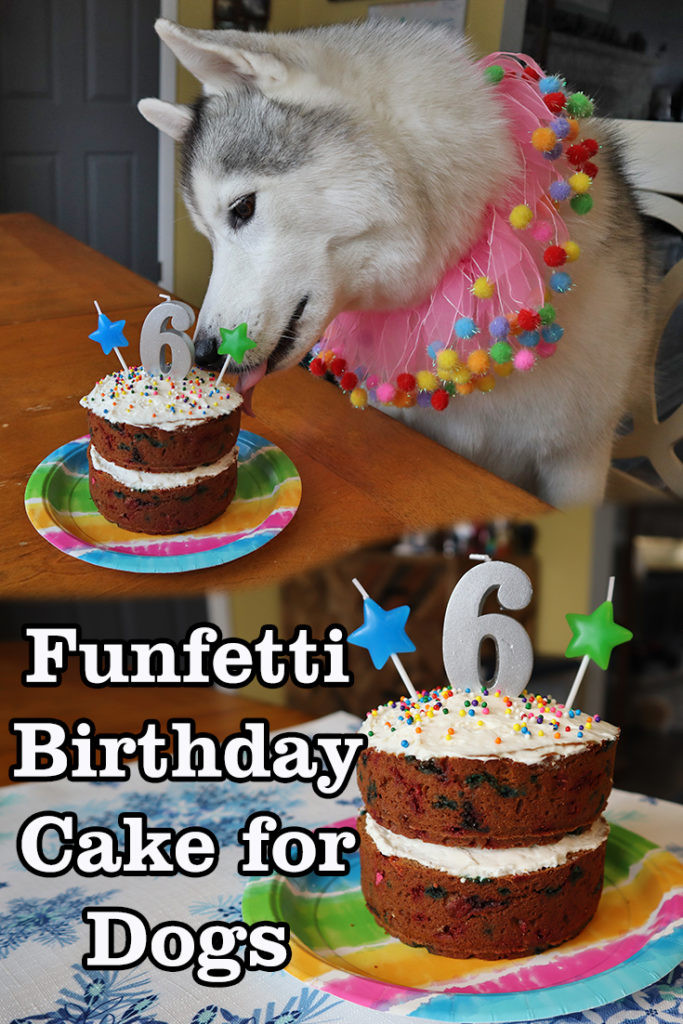 Homemade Dog Birthday Cake
 How to Make a FunFetti Birthday Cake For Dogs