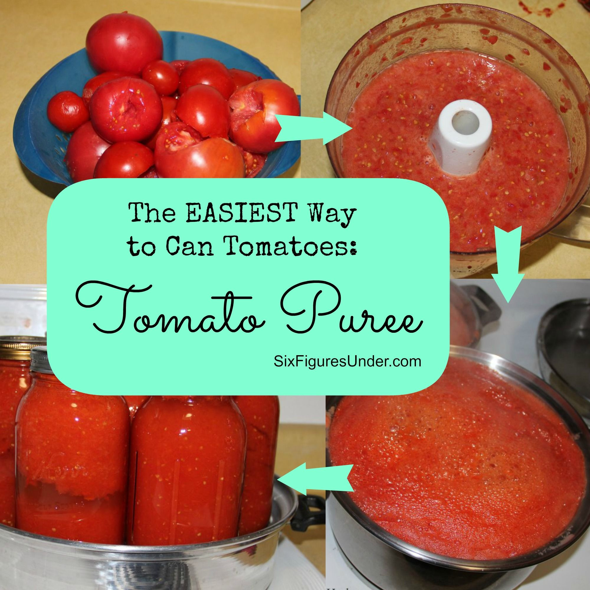 Homemade Spaghetti Sauce With Fresh Tomatoes For Canning
 The Best Way to Can Tomatoes Tomato Puree