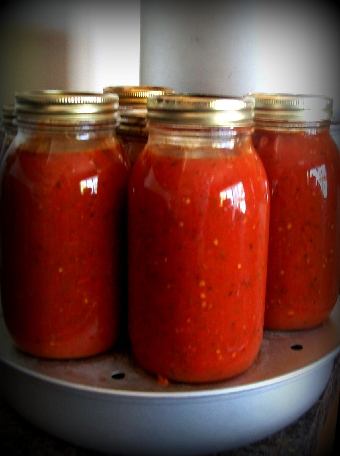 Homemade Spaghetti Sauce With Fresh Tomatoes For Canning
 The Farm Girl Recipes Spaghetti Sauce