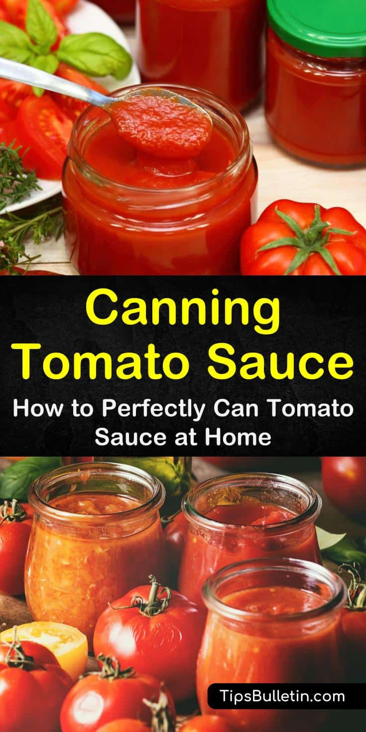 Homemade Spaghetti Sauce With Fresh Tomatoes For Canning
 Canning Tomato Sauce How to Perfectly Can Tomato Sauce