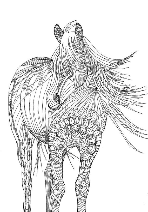 Horse Coloring Pages For Adults
 Horse Amazing Animals Colouring Pages by Joenay