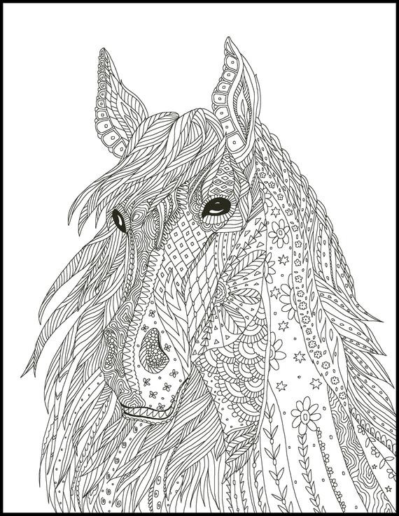 Horse Coloring Pages For Adults
 Horse Coloring Page for Adults Horse Adult Coloring Page