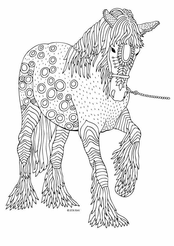 Horse Coloring Pages For Adults
 161 best images about Horse drawings on Pinterest