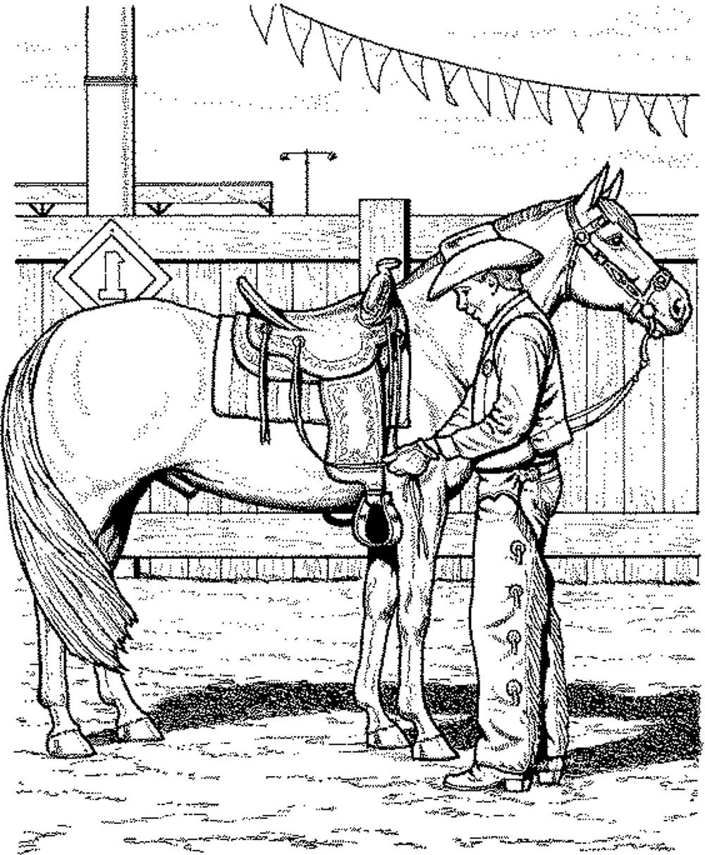 Horse Coloring Pages For Adults
 Fun Horse Coloring Pages for Your Kids Printable