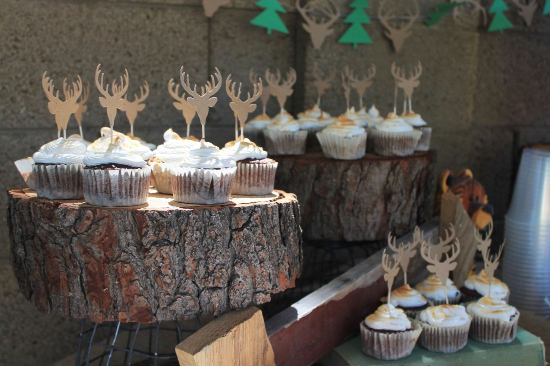 Hunting Birthday Party Ideas
 camping hunting birthday party theme