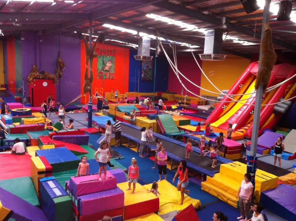 Indoor Jungle Gym For Kids
 Jungle Gym Willetton