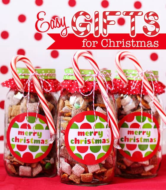 Inexpensive Gifts For Children
 24 DIY Christmas Gifts Your Friends and Family Will Adore