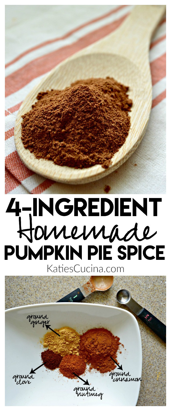Ingredients For Pumpkin Pie
 Homemade Pumpkin Pie Spice Katie s Cucina