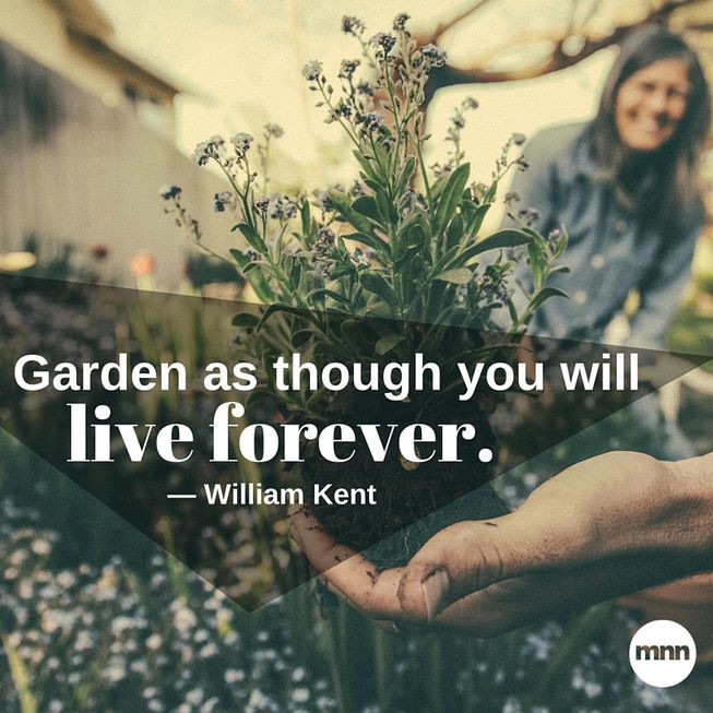 Inspirational Garden Quotes
 32 inspirational gardening quotes