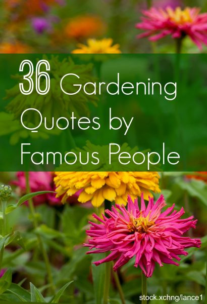 Inspirational Garden Quotes
 36 Awesome Gardening Quotes by Famous People
