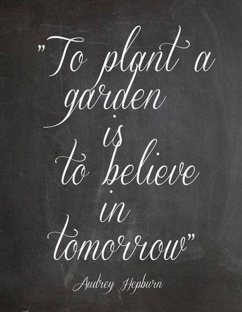 Inspirational Garden Quotes
 munity Garden Quotes QuotesGram