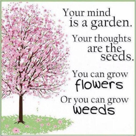Inspirational Garden Quotes
 GARDENING QUOTES INSPIRATIONAL image quotes at relatably