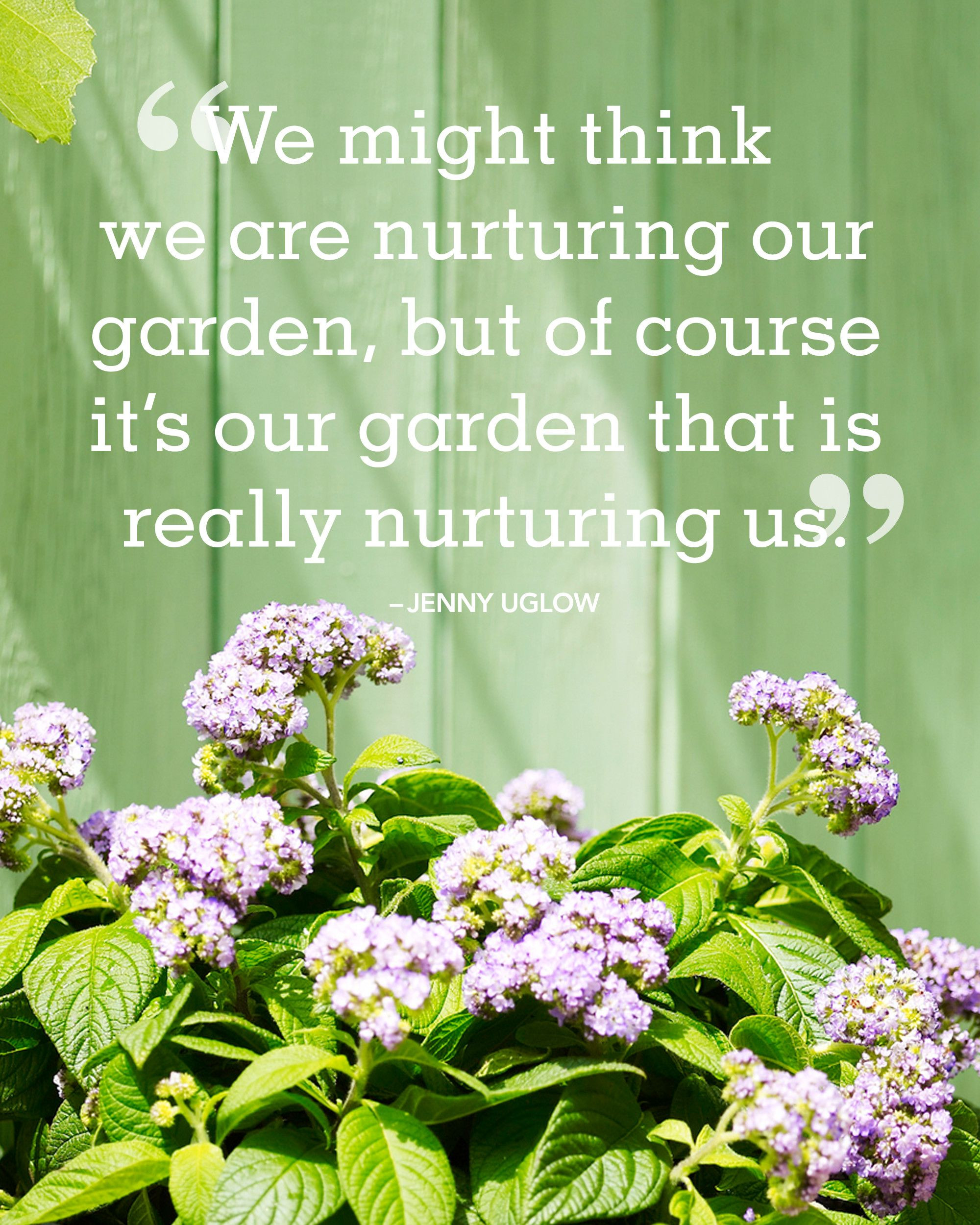 Inspirational Garden Quotes
 85 Inspirational Gardening Quotes And Sayings